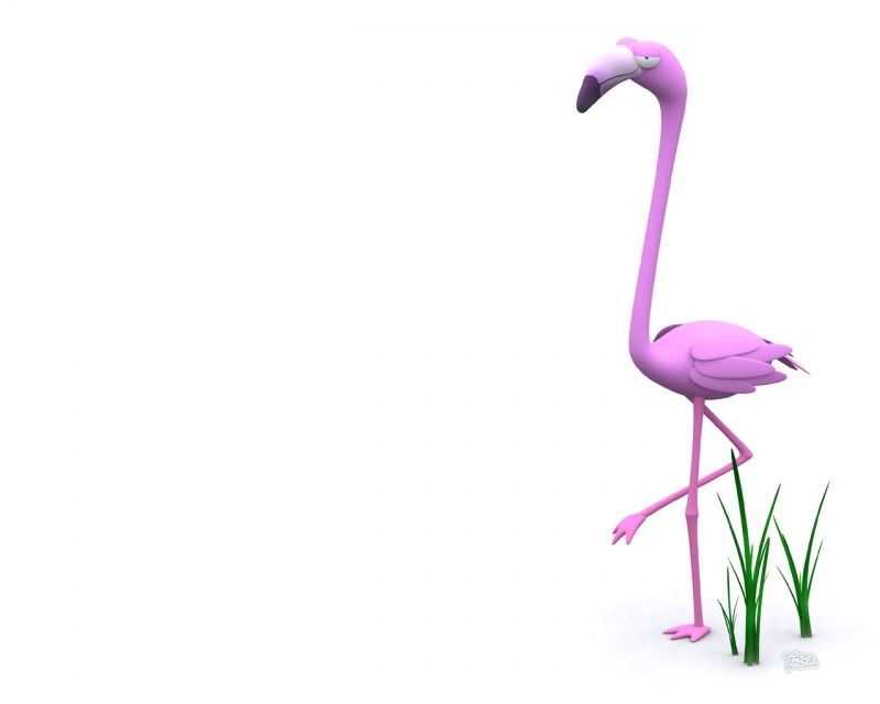 funny 3d wallpapers (15)